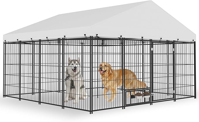 Outdoor Large Dog Kennel - 10 x 10 Covered Dog Kennels with Feeding Door and Double Lock, Welded Wire Dog Kennel, XL Outside Dog Cage for Large Dogs