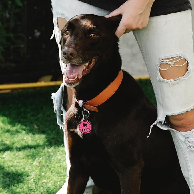 MYLUCKYTAG QR Code ESA Emotional Support Dog ID Tag - Pet Online Profile - Scan QR Receive Instant Pet Location Alert Email