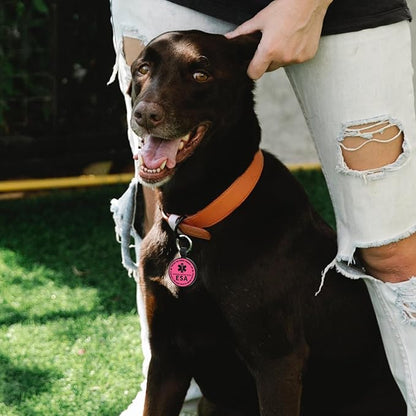 MYLUCKYTAG QR Code ESA Emotional Support Dog ID Tag - Pet Online Profile - Scan QR Receive Instant Pet Location Alert Email