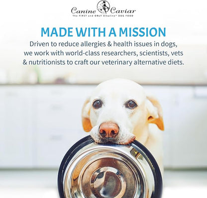 Canine Caviar - Dried Sweet Potato Dog Treats, Low Calorie, Healthy Rawhide Alternative, Gluten-Free (12 oz)