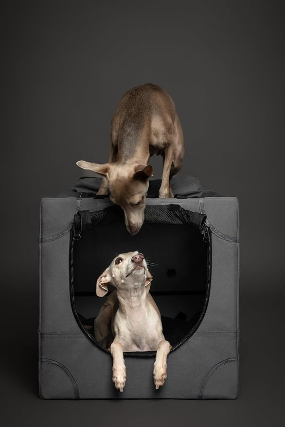 Noah & Paw Collapsible Dog Crate 26 Inch, Small Dog Crate for Small Medium Breeds, Travel Kennel for Car, Including Pet Mat for Pet Cage, 2 Storage Pockets, Handbag, 10mm Locking Zipper 26 * 17 * 17