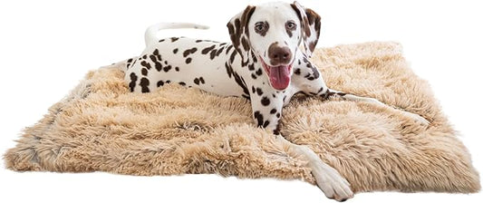Best Friends by Sheri Calming Shag Dog Blanket, Taupe, 30" x 40"