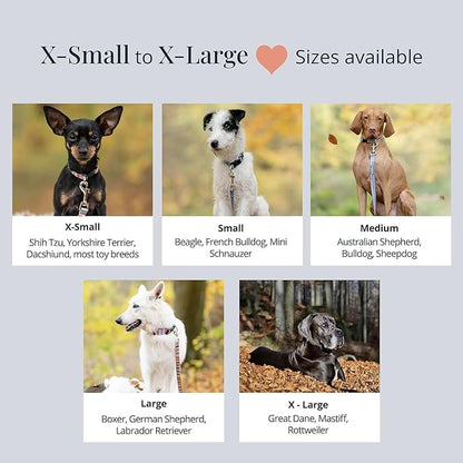 Lucky Love Dog, Winter Stocking Caps and Mittens Dog Collar, Snowflakes Collar for Male and Female Dogs - (Extra Small, Chilly Collar)