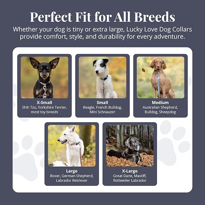 Lucky Love Dog - Adjustable Dog Collar with Easy Click Buckle for Small to Large Dogs, Durable, & Comfortable Collar for Male & Female Dogs, Pet Collar for Puppies & Adult Dogs - Blackbird, Medium