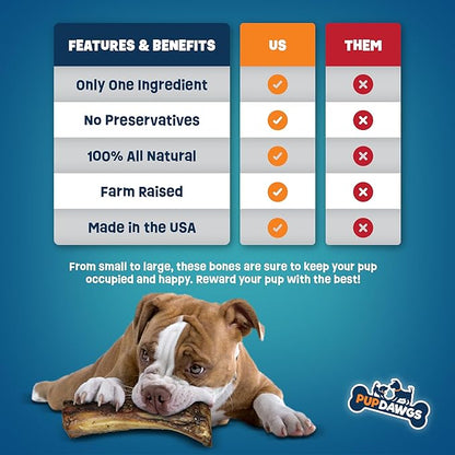 Single Ingredient Dog Bones - Made in USA – 8-10” Beef Rib Bones - Natural Dog Bones for Aggressive Chewers - from USDA Inspected Beef - Hickory Smoked - Individually Wrapped (16 Piece Pack)