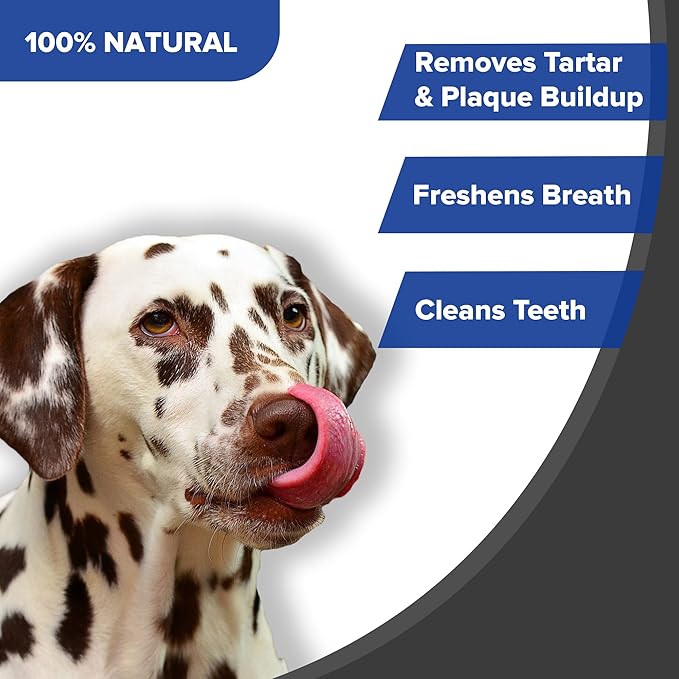 Split Elk Antlers for Dogs - Naturally Shed Split Antlers for Dogs - No Artificial Colors Split Dog Antlers - Long-Lasting Split Elk Antler - Premium Dog Antler Chews (Medium, 6 inches)