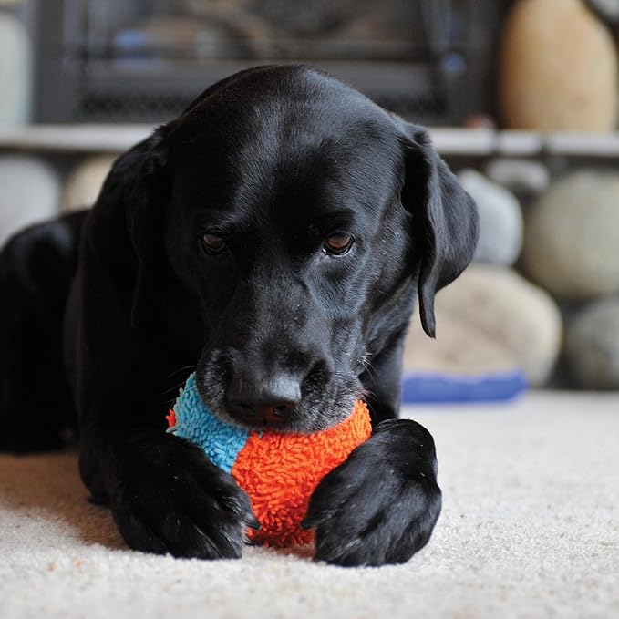 Chuckit! Indoor Fetch Shaker Dog Toy (7.5 Inch), Orange and Blue