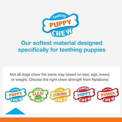 Nylabone Puppy Teething and Soothing Chew Toy - Puppy Chew Toys for Teething - Puppy Supplies - Chicken Flavor, Blue, X-Small/Petite (1 Count)