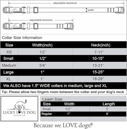 Lucky Love Dog Martingale Collar and Leash Set, Premium No Slip Collar and Leash Set, Vivid Floral Martingale Dog Collar, Great for Whippets, Greyhounds, and More (Ladybird, Large - Combo)