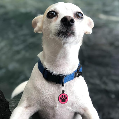 MYLUCKYTAG Silent Silicone QR Code Pet ID Tags Dog Tags - Pet Online Profile - Scan QR Receive Instant Pet Location Alert Email