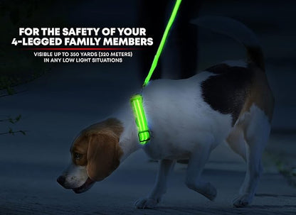 Illumiseen LED Dog Collar USB Rechargeable - Bright & High Visibility Lighted Glow Collar for Pet Night Walking - Weatherproof, in 6 Colors & 6 Sizes (Green XX-Small)