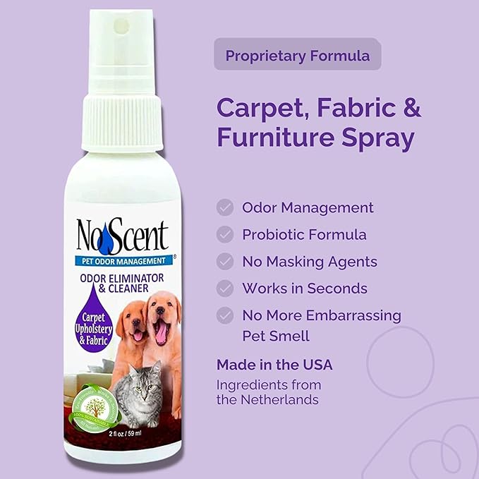 No Scent Carpet Upholstery & Fabric Furniture Spray Spot Cleaner for Wet Dog Smell, Cat Spray, Pet Odor, Urine, Poop & Secretions (128 Fl Oz / 3.8 Liter) Gallon