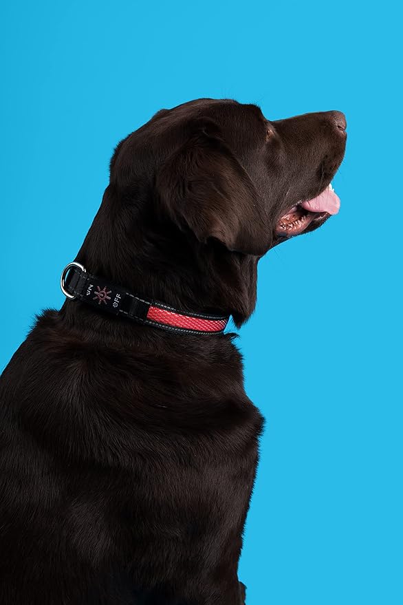 Bundle Pack FA29 PET Tracker- Waterproof, SIM Card Included with LED Collar and 1 Month Free Trial,Everything Included (Medium, RED)
