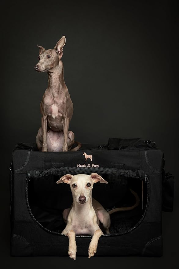 Noah & Paw Collapsible Dog Crate 26 Inch, Small Dog Crate for Small Medium Breeds, Travel Kennel for Car, Including Pet Mat for Pet Cage, 2 Storage Pockets, Handbag, 10mm Locking Zipper 26 * 17 * 17