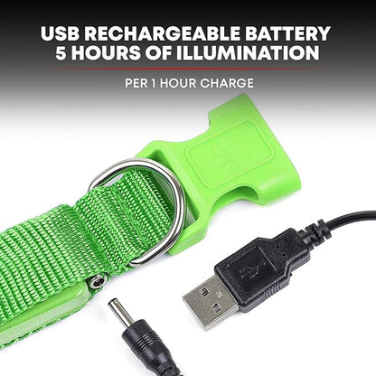 ILLUMISEEN LED Dog Collar USB Rechargeable - Bright & High Visibility Lighted Glow Collar for Pet Night Walking - Weatherproof, in 6 Colors & 6 Sizes (Green X-Small)