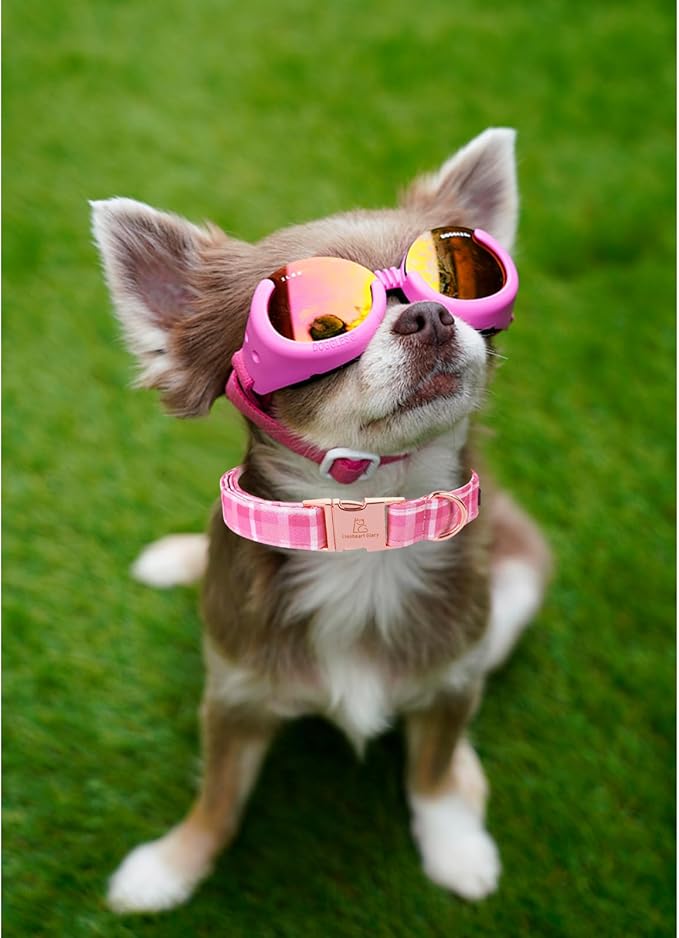 Lionheart glory Valentine's Day Collar, Pink Plaid Dog Collar for X-Small Cute Dog Collars Spring Female Pet Gift Adjustable Heavy-Duty Puppy Collar Holiday