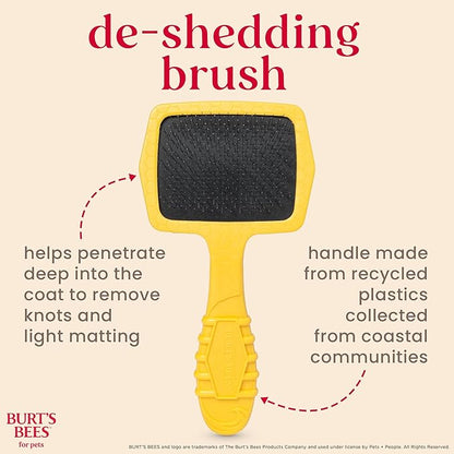 Burt’s Bees for Pets Small Slicker Brush for Dogs with Thick or Curly Hair with Handle Made from Recycled Plastics Collected from Coastal Communities | De-Shedding Dog Brush Removes Knots and Matting