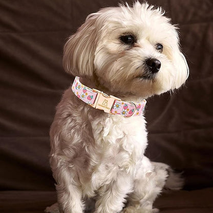 Lionheart glory Dog Collar Pink Dogs Collar Spring Summer Cute Collars Dog Female Soft Durable Adjustable Dog Collars for Large Dogs Pet Gift