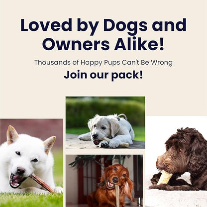 The Proper Hound® Whole Elk Antlers for Dogs [Long Lasting] - Elk Bones for Dogs Humanely Sourced - Elk Horns for Dogs - Dog Elk Antler Chews - Antlers for Small Dogs Under 25 Pounds - Ready to CHEW