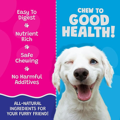 Coconut Mango Dog Bones - Long Lasting Natural Dog Treats - Dog Bones Rawhide Free Dog Chews - Long Lasting No Hide Dog Chews for Small Medium Large Dogs - Raw Hide Free Dog Chew (1 Pack)