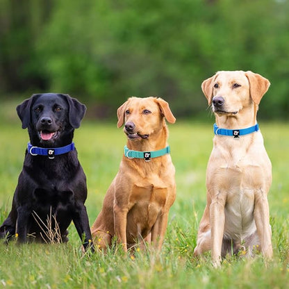 azuza 3 Pack Dog Collars Comfortable and Adjustable Nylon Dog Collars for Puppy Small Dogs, XS (8-12inch)，Green, Blue and Royal Blue