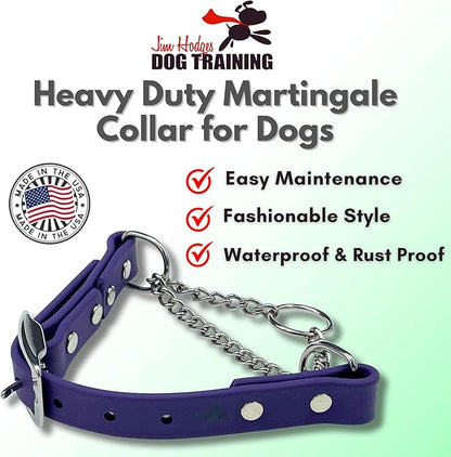 Martingale Collar for Dogs, Biothane, Stainless Steel Hardware, No Pull, Made in The USA, Professional Grade, XS, Purple