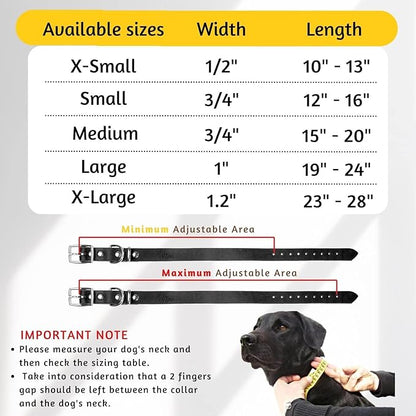 Adityna - Black Leather Dog Collar for Large Dogs - Classic Style, Soft and Strong, Heavy-Duty Top-Grain Leather Collar for Walking, Training, Hiking, and Running (L - Neck: 19-24 inches, Black)
