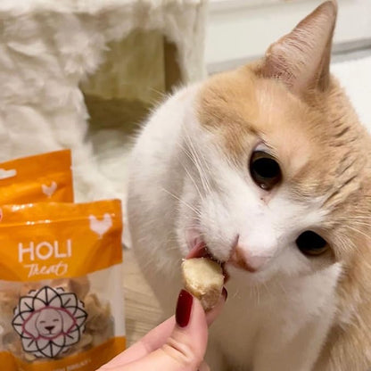 HOLI Freeze Dried Chicken Dog Treats - 100% All Natural Chicken Breast - Human Grade, Single Ingredient - Grain Free, Gluten Free, Soy Free – (3.5 Ounce)