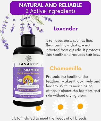 Shampoo for Pet Dog Cat | Anti-Hair Loss Lavender and Daisy Flavored Pet Shampoo