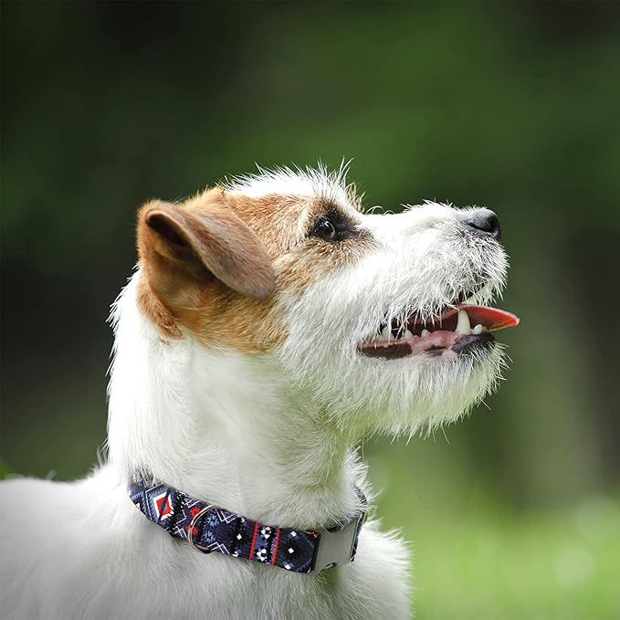 Southwest Dog Collar Tribal Pattern Adjustable Puppy Pet Collars for Small Medium Large Dogs Aztec Print (Aztec, Neck Fit 10"-13")