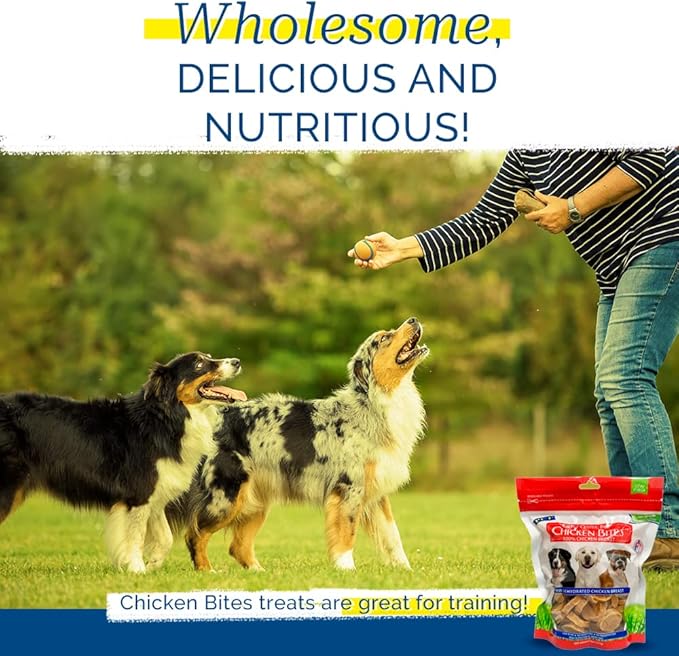 PCI Pet Center Inc. Chicken Bites 100% Chicken Breast Raw Dehydrated Chicken Breast, Made in USA, 8 Ounce Pack