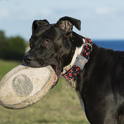 Lionheart glory Dog Collar Rugby Print Dogs Collar Boy Cute Collars Dog Soft Durable Adjustable Comfortable Handmade Dog Collars for Large Dogs Pet Collar Gift