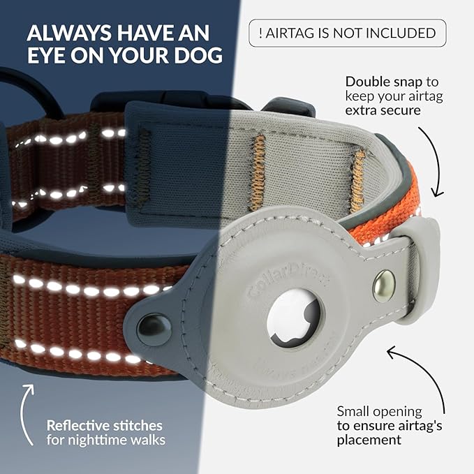 CollarDirect Airtag Dog Collar Reflective Nylon Neoprene Leather Holder for Apple Air Tag for Large, Medium, and Small Dogs (Orange, L, 16.5-20 Inch)