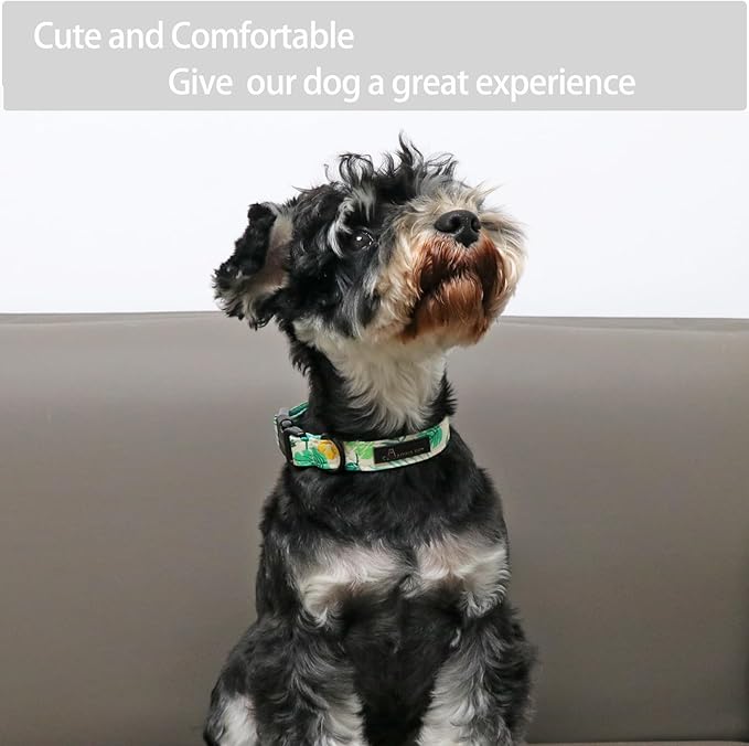 ARING PET Summer Dog Collar-Cute Dog Collar for Small Dogs, Adjustable Comfortable Cotton Dog Collars for Small Medium Large Dogs, X-Small