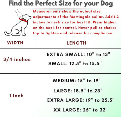 Martingale Collar for Dogs, Biothane, Stainless Steel Hardware, No Pull, Made in The USA, Professional Grade, Small, Brown