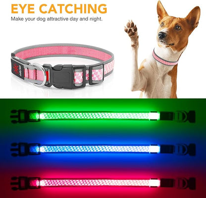 BiPawTi LED Dog Collar Rechargeable, Light Up Dog Collar 3 Light Modes Pet Safety Collar, Super Bright Glow in The Dark Dog Collar for Night Walking, Lighted Dog Collar for Large Dogs （Pink, L）