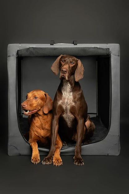 Noah & Paw Collapsible Dog Crate 42 Inch, XXL Dog Crate for XXL, XL, Large Breeds, Travel Kennel for Car, Includes Pet Mat for Pet Cage, 2 Storage Pockets, Handbag, 10mm Locking Zippers 42 * 31 * 31