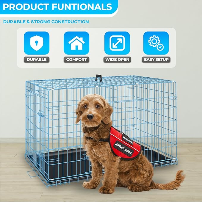 FDW Dog Crate for Medium Dogs 36 Inch Folding Metal WirePet Cage Double Door W/Divider Panel Indoor Outdoor Kennel Leak-Proof Plastic Tray,Blue