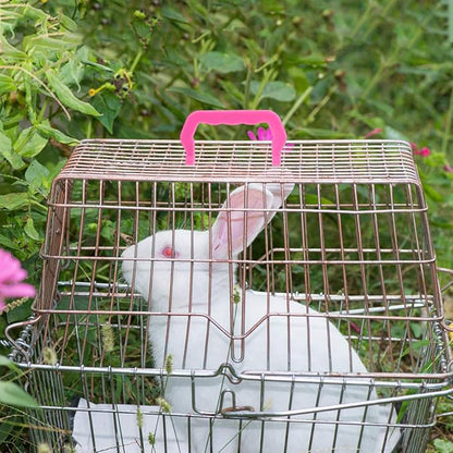 Zerodeko 10pcs Detachable Plastic Handles for Pet Cages Portable and Lightweight Cage Accessories for Easy Lifting and Transport of Pet Carriers