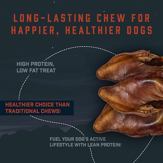 Wild Wolf USA Pig Ears (5 Pack) 100% Natural Dog Chew Treat - Sourced and Baked in The USA - Healthy, High Protein Snack