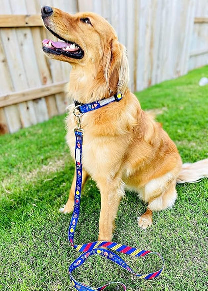 Lucky Love Dog Tropical Fish Pattern Martingale Collar and Leash Set, Summer Themed No Slip Collars for Medium Dogs, Great for Whippets, Greyhounds, and More (Mackey, Medium - Combo)