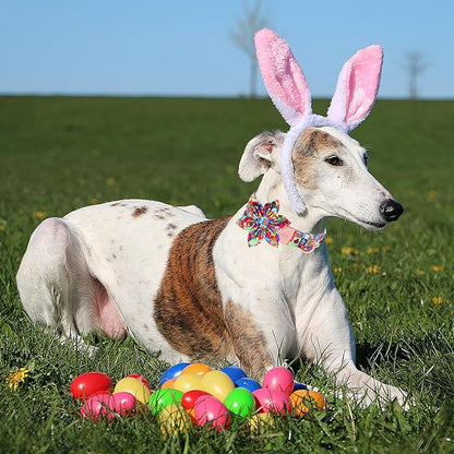 Unique Style Paws Easter Day Dog Collar with Bow Colorful Egg Rabbit Dog Collar Bowtie Bowtie Collar for Large Medium Small Dogs