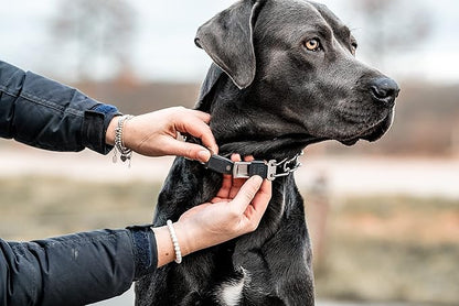 Herm Sprenger Dog Training Prong Collar with Quick Release Cliclock Buckle & Swivel Ring | Adjustable Length Stainless Steel Collar Made in Germany for Large Dogs up to 20" Neck (3.2mm Prongs)