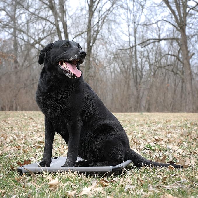 Momarsh Low Profile Dog Cot for Kennels, Crates, Boats & Layout Binds | Comfortable Low Profile Platform & Frame Fits in Most Large Kennels