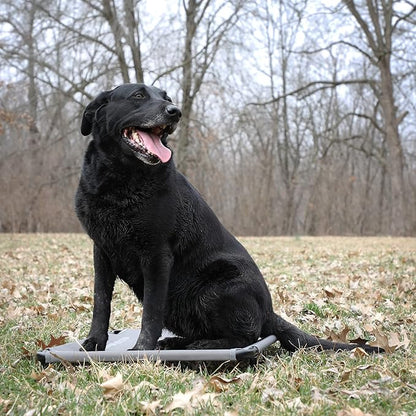 Momarsh Low Profile Dog Cot for Kennels, Crates, Boats & Layout Binds | Comfortable Low Profile Platform & Frame Fits in Most Large Kennels