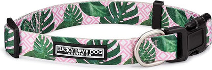 Lucky Love Dog, Tropical Dog Collar for Female Male Dogs, Comfortable & Soft, Vivid Pink Dog Collar - (Large, Laguna Collar)