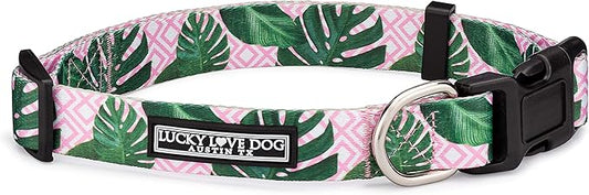 Lucky Love Dog, Tropical Dog Collar for Female Male Dogs, Comfortable & Soft, Vivid Pink Dog Collar - (Large, Laguna Collar)