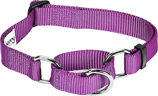 Blueberry Pet Essentials Martingale Safety Training Dog Collar, Violet, Medium, Heavy Duty Nylon Adjustable Collars for Dogs
