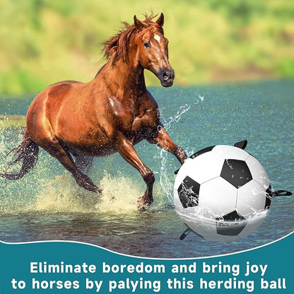 QDAN Herding Dog Balls Horse Ball - 25 inch Horse Toys Herding Ball for Dogs, Large Giant Ball Toys for Australian Shepherd Dog Toys, Black