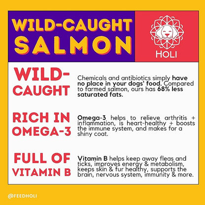 HOLI Freeze Dried Salmon Dog Treats - with Omega 3 and 6 Fish Oil - All Natural Dog Treats - Human Grade - Wild Caught Skin on Salmon - Made in USA - Grain Free - Diabetic Friendly